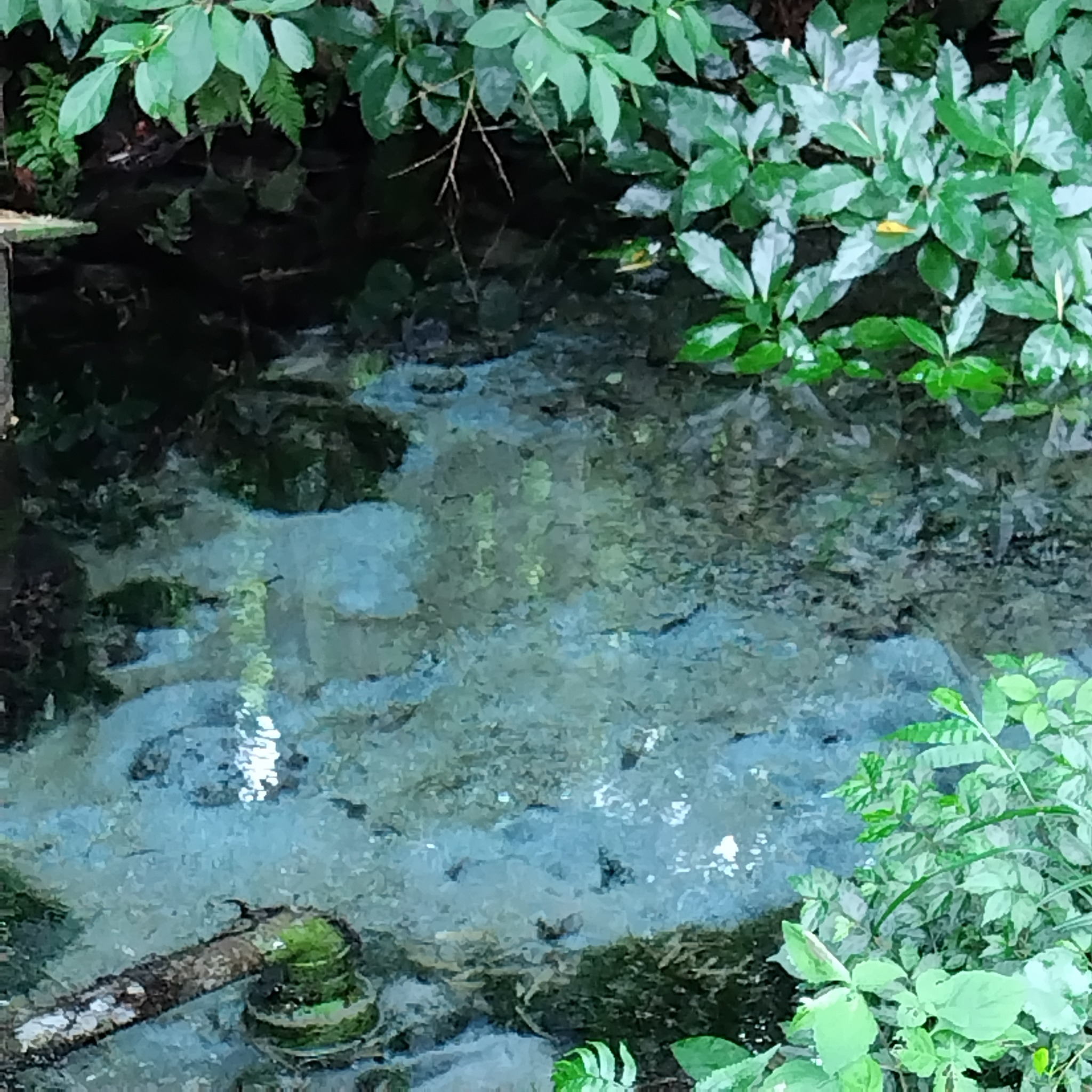 熊野水源