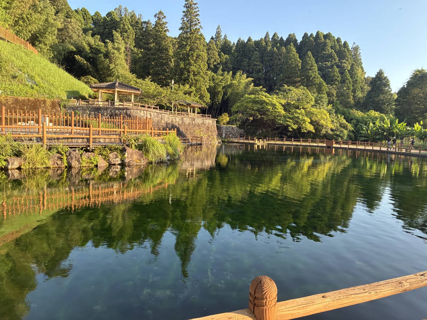 丸池の景色