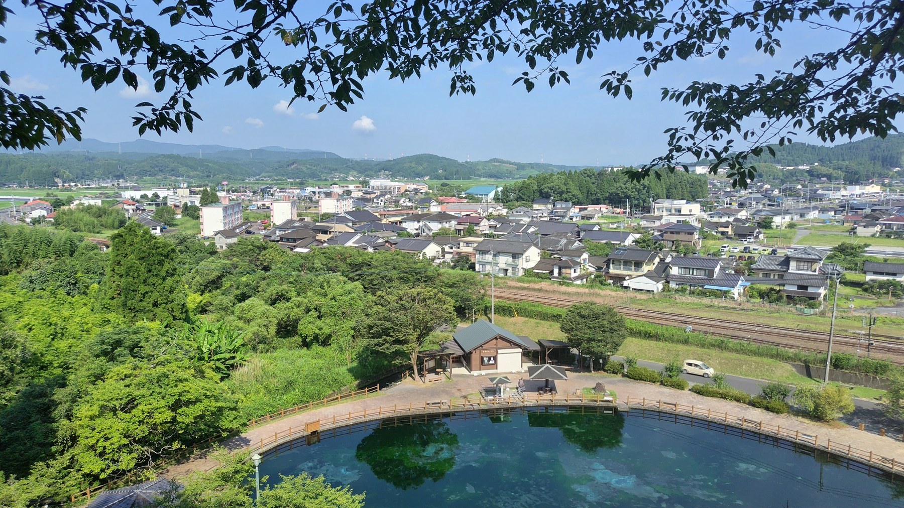 湧水町の湧水と木々の風景